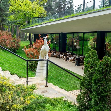 Bioli Wellness Resort Kojori Bagian luar foto