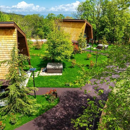 Bioli Wellness Resort Kojori Bagian luar foto